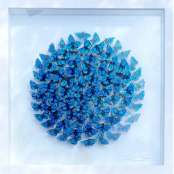 Kaleidoscope of Blue Butterflies Kaleidoscope of Blue Butterflies