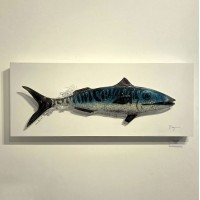 Mackerel