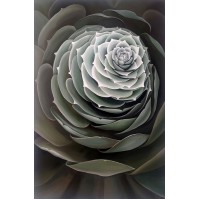 Succulent