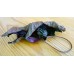 Bronze Dormouse